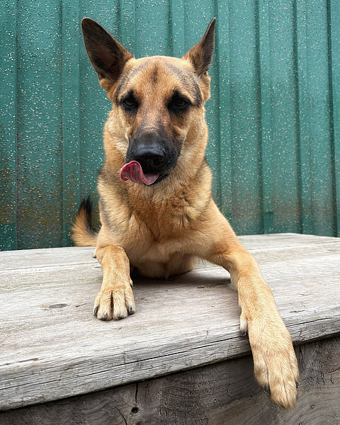 Jake (-)